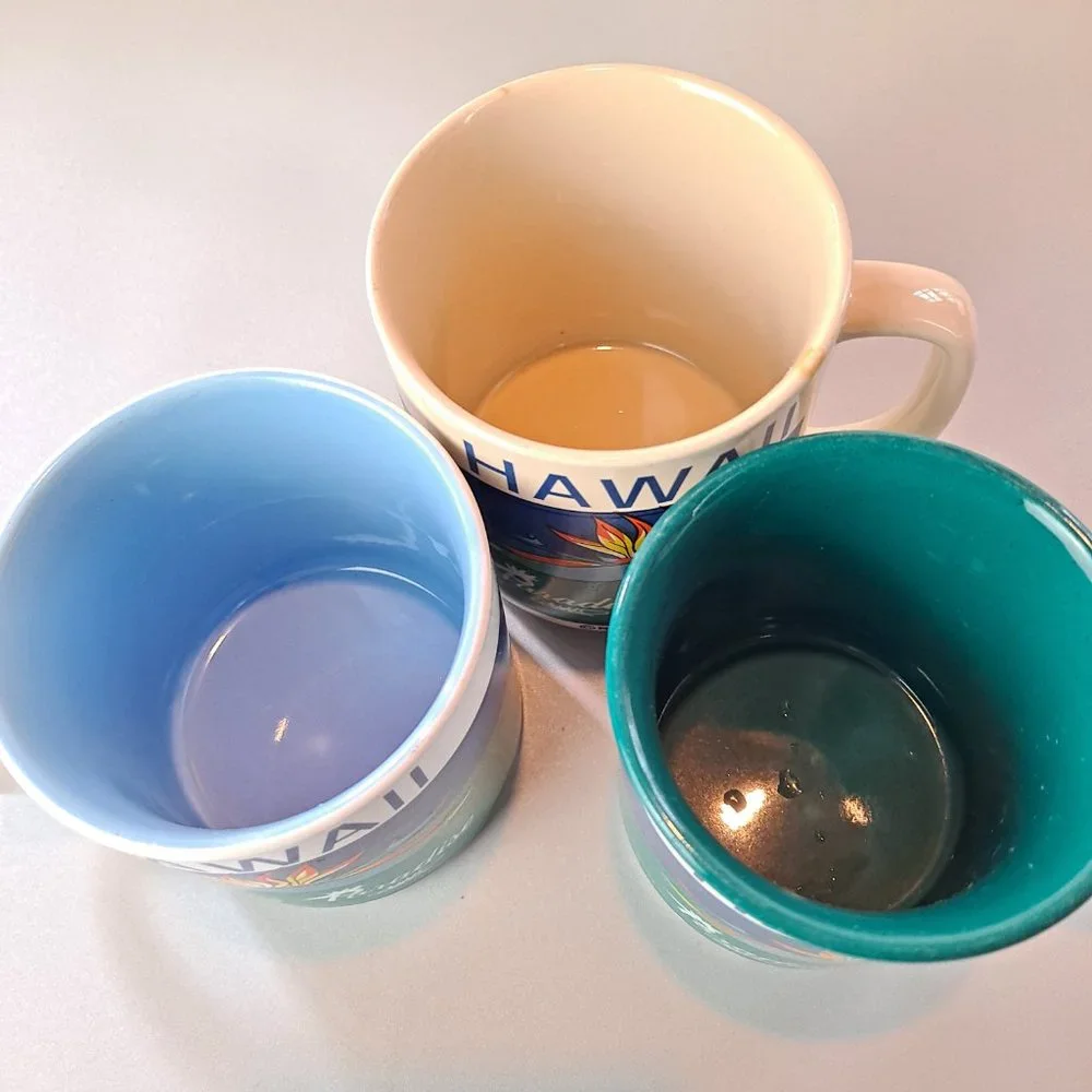 3 Vintage Hilo Hattie Hawaii Coffee Mugs Bird of Paradise Flower 1985